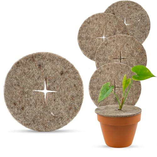 UNIGARDIA Öko-Schafwoll-Mulchscheiben Ø 40 cm, 5 Stück - Winterschutz aus Schafwolle für Pflanzen - 100% Bio-Schafwolle - Pflanzenschutz im Winter, biologisch abbaubar