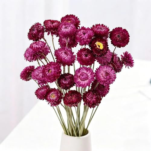 Sikweny 20 Piezas Flores Secas, Flower Margaritas Púrpura 32cm