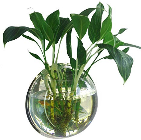 Kavolet Wall Fish Bowl, Small Hanging Goldfish Fish Tanks, Clear Acrylic Betta Fish Tank, for Aquarium Wall Plant Pot Decoration Planter Flower