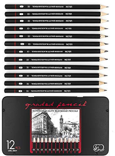 Wosilan 12 Stück Professionelle Bleistifte Zeichenstifte Skizzierstifte Graphitstifte Kunststift Set Mit 12 Härtegrade In Einer Metalldose