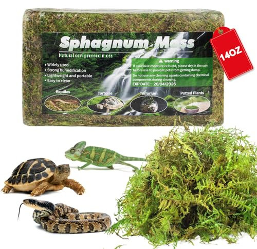 Pakimi 14OZ Sphagnum Moss for Reptiles, Terrarium Natural Green Dried Peat Habitat Bedding Plants for Snakes Gecko Forest Frogs and Turtle Accessories Substrate (50QT)