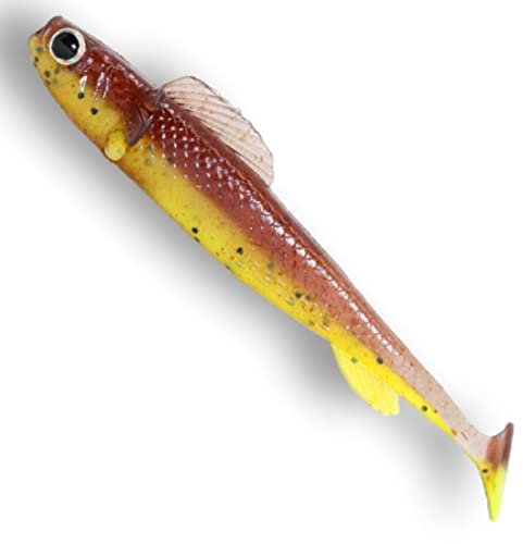 Lurejunks Finisher Shad - 5 Gummifische - Angelköder für Hecht, Zander & Barsch, Gummiköder, Länge:8cm, Farbe:Green Pumpkin Chartreuse