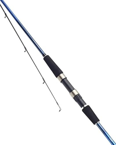 DAIWA HRF Hard Rock Fishing Rod - 10'6 / 15-50g / 2pc - HRF1062MH-BU