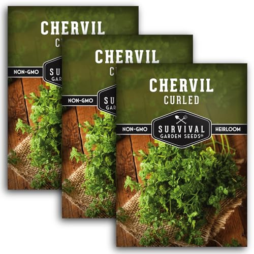 Survival Garden Seeds - Curled Chervil Seed for Planting - 3 Packets with Instructions to Plant & Grow Aromatic French Herbs in Your Home Herb Garden - Non-GMO Heirloom Variety Chervil Seeds