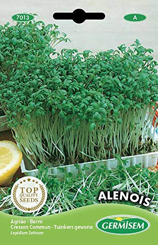 Germisem graines Cresson Commun ALENOIS