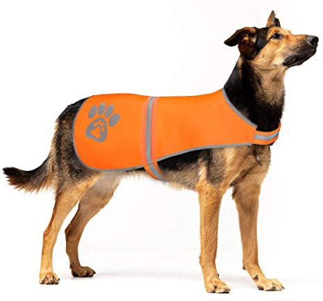 SPOFLY Hundsäkerhetsväst, orange jaktväst, säkerhetsreflekterande hundjacka, hög synlighet och säkerhet från jägare, bilar och andra (stor, orange)