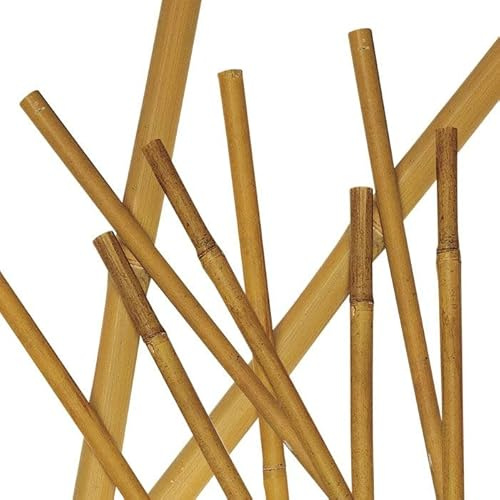 Canne di bambù naturali, per sostegno piante, orto, decorazione e arredamento (10, 150 cm/Ø 18/20 mm)