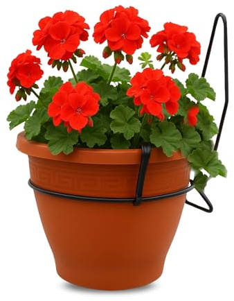 TECHZOCO Macetero con Soporte de Pared, Maceta Redonda plástico, Tiesto Colgar Flores, Fabricado en Polipropileno, Recipiente Pared para Flores, 20 cm diámetro x 11.3 cm Base x 15 cm Alto, Terracota