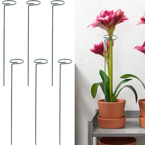 Förpackning med 6 metallväxtpinnar med klämmor för klätterväxter stöd, trädgård för blommor som Amaryllis, orkidéer, tomater skador från väder (45 cm)