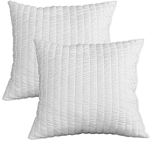 Evergreenweb – Pack de 2 Almohadas viscoelásticas 45x45 cm para Cama o sofá, Relleno Suave Efecto plumón de oca, Cojines para Dolores cervicales, certificación Oeko-Tex