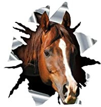 Bil 3D-klistermärken, 2 stycken reflekterande bilklistermärken bil karossdekor självhäftande bil motorhuv klistermärken vattentäta gör-det-själv klistermärken bil styling dekoration klistermärken