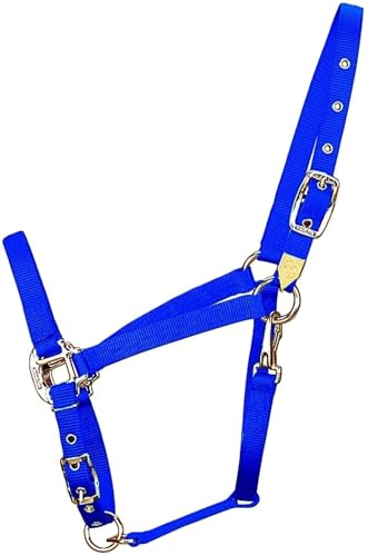 Hamilton Deluxe Adjustable Arabian Horse Halter, 800-1100 lbs, Blue
