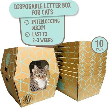 Cats Desire - Disposable Litter Boxes for Cats, Large, NATURAL BROWN, 19L x17W x 8.5H, 17 Tall, Enclosed, 10 Pound Capacity, No Plastic, USA, Sassy Cat Approved