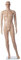 fella4stores Schaufensterfigur, PE Schaufensterpuppe Ken, Herrenmannequin, M1KEN, Glasbodenplatte, Wadendorn