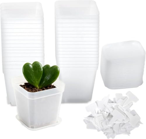 Eulihent Set da 30 Vasi Trasparenti per Orchidee da 7 cm - Vasi Quadrati in Plastica con Sottovasi ed Etichette Incluse, ideali per Semi, Piante Grasse e Piantine