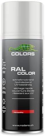 COLORS Sprühlack - 400ml Spraydose - Sprühfarbe für alle Oberflächen, Innen und Aussenbereich, Tolle Deckkraft | RAL9010 - Reinweiss Glanz