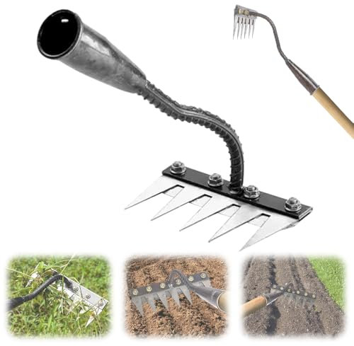 Rateau de Désherbage 5/6/7/8 Dents Desherbeur Manuel, Outillage de Jardin Amovible Râteau de Désherbage Griffe Râteau de Déchaumage pour Désherbage, Ameublissement du Sol, Semis (5 dent)
