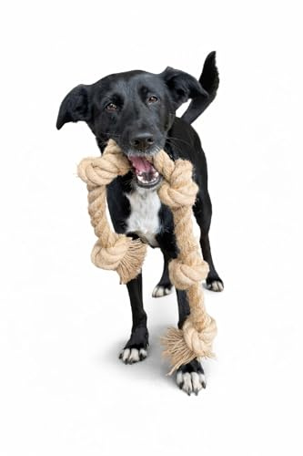 Holly & Moss Hemp Rope Dog Toy | Natural Dental Chew & Tug Toy for Medium & Large Dogs | Plastic-Free | Durable