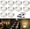 10er große Größe Ø61mm Einbaustrahler LED DC12V 1.5W Boden Licht IP67 Wasserdicht Einbauleuchten Außen Terrasse Garten Led Lampe