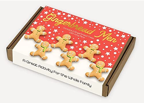 T.T.K gingerbread Festive Decorating Kit With Icing Pens - 158G