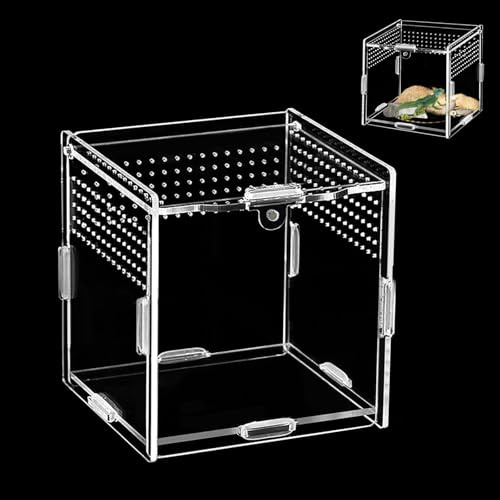 Futterbox für Reptilien ( ), Acryl-Terrarium, Mini-Terrarium, Schneckenterrarium, geeignet für Springspinnen, Eidechsen, Schnecken, Kakerlaken