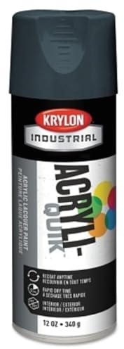 Krylon Spray Paint,Shadow Gray,Gloss, Multi, 1 Count (Pack of 1)