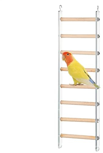 Fågelstege – Conure Cage Stand tillbehör – rolig stegleksak för träning, med 360° roterbar, för lovebirds, papegoja, undulater och andra små, medelstora fåglar