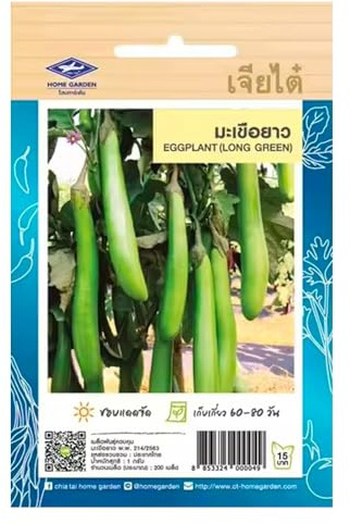 Graines d’aubergine longue verte thaï - Eggplant Long Green Chia Tai Home Garden - Aubergine asiatique pour currys, woks et grillades - Sachet de 200 graines