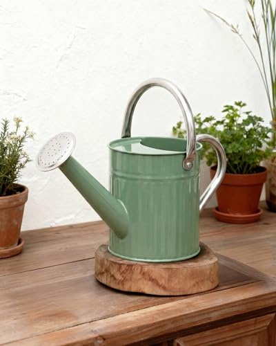 Bamworld vattenkanna inomhus rostfritt stål vattenkanna inomhus utomhus lång mun vattenkanna för vattenning av växter 12 gallon växt vattenkannor(Krämgrön)