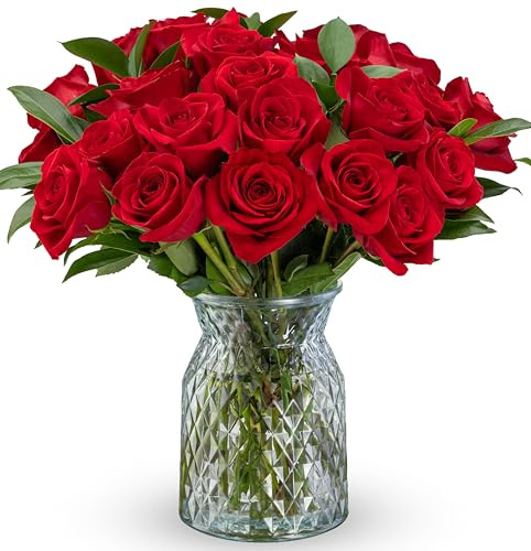 Benchmark Bouquets - Red Roses Bouquet - Fresh Flowers for Delivery - Two Dozen Long Stem Roses - Mothers Day Flowers for Mom - Mothers Day Gifts for Mom - Mothers Gifts (Glass Vase Included)