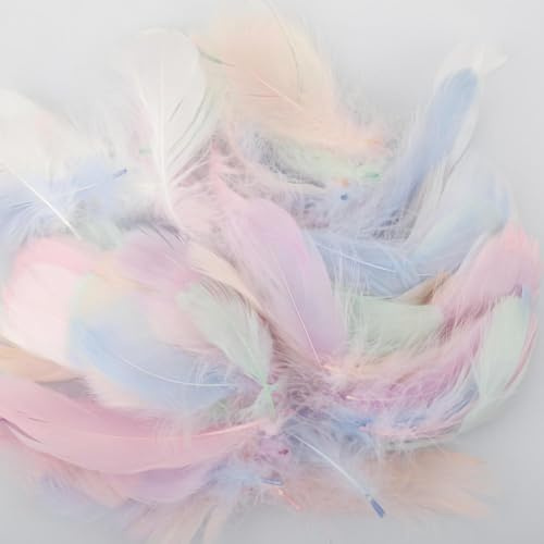 Tabanzhe 300pcs Colorful Feathers - Natural Goose Feathers for DIY Dreamcatcher,Crafts,Hat, Vase, Mask, Gift Box, Wedding Party Decorations