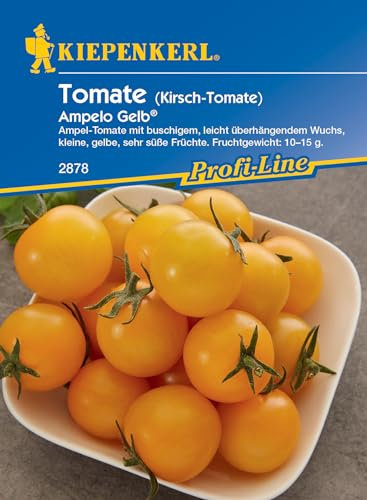 Kiepenkerl Profi-Line Kirsch-Tomatensamen Ampelo Gelb® (Donna Yellow, F1) - Süße Cherrytomaten, F1-Hybride, Einfache Pflege, für Ampelkultur, Profi-Line Gemüsesamen