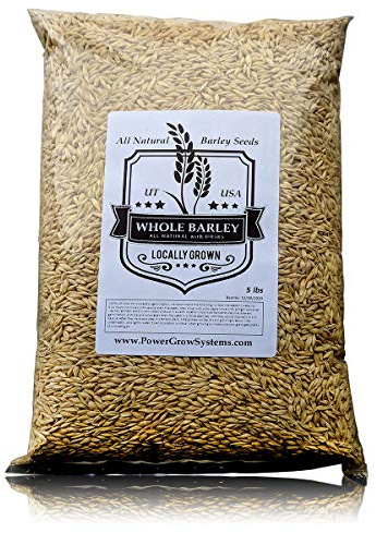 Semi di orzo – tutto naturale 2,27 kg intero di semi di orzo per spremere, birra