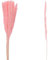 VOSTEEN 1x Pampasgras 75 cm rosa - Gräser getrocknet vielseitig & natürliche Optik - Deko Frühling Wohnzimmer Tischdeko Esstisch
