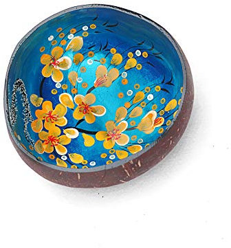 YEASQGS Hand Painted Floral Coconut Bowls Natural Coconut Shell Bowl Decorative Key Storage Bowl Candy Container Nuts Holder (Blue, 1)