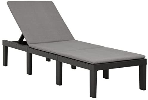 Nqyjm Bain de Soleil avec Dossier Réglable en 5 Positions, Chaise Longue avec Coussin Plastique Anthracite Transat de Plage Relax d'extérieur pour Jardin, Terrasse, Balcon, Camping