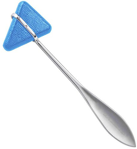 MDF Instruments Taylor Martillo de reflejos neurológicos (Azul Int)