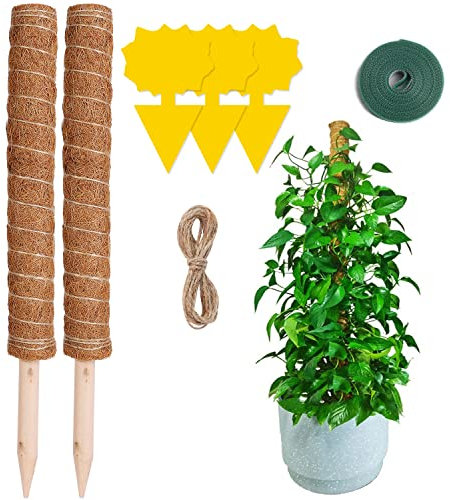 HEPODA 2 Pièces Tuteur Monstera 50cm Tuteur Fibre Coco Tuteurs pour Plantes Grimpantes Support Plante Interieur pour Monstera Plante Grimpante Maison Jardin