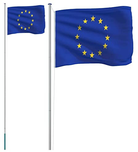 vidaXL Drapeau de l'Europe et mât 6,23 m Aluminium