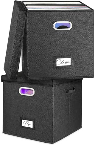 Woodoulogy Caja de almacenamiento de discos de vinilo (doble negro)