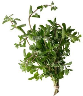 HÉRITAGE NON OGM marjolaine 800 graines