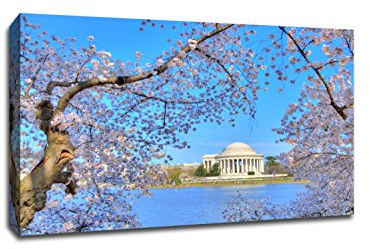 Tidal Basin - Washington DC - Capturing America - 36x24 Gallery Wrapped Canvas Wall Art