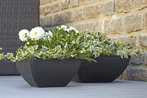 Bellissima ciotola per piante da piantare, rettangolare, in plastica/plastica, resistente all'inverno (piccola: 30 x 30 x 15 cm, antracite)