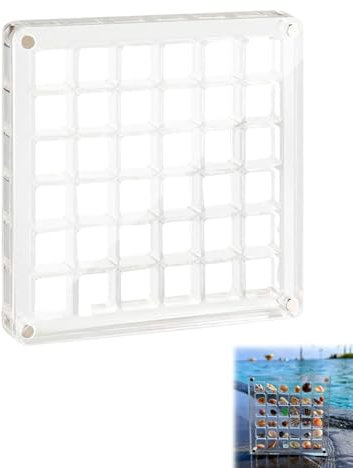 KGDUYC 1 Stück transparente, magnetische Präsentationsbox aus Acryl – Präsentationsbox für Muscheln, Seesterne, Schmuck, Perlen, Nägel (36 Fächer)