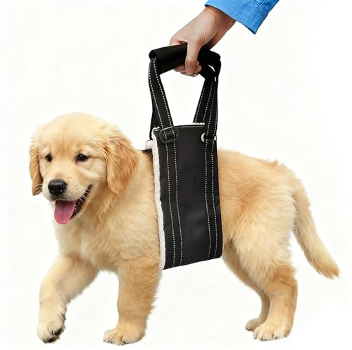 LUPATDY Aide au transport pour chien, aide à la marche réglable et sangle de rééducation pour différentes tailles, soutien de sécurité pour handicapés, blessés ou chiens âgés, taille M