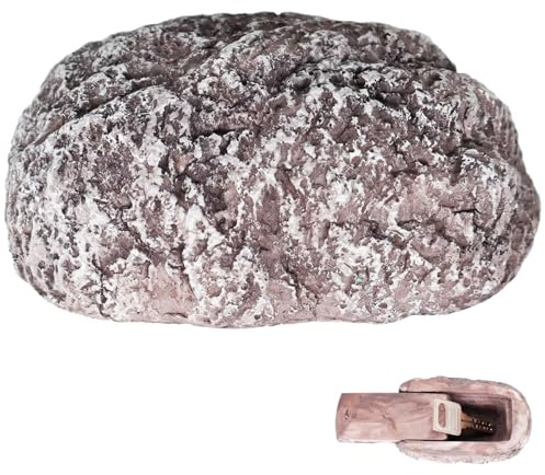 Cacher une clé à l'extérieur en résine Rock Key Hider à l'extérieur imperméable Simulation Rock Hider pour jardin, géocaching, cour sûre StyleB