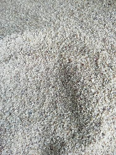 NATURAVIVA BASSANO Sabbia CALCAREA per Acquario Marino 100% Naturale (1 Sacco 5 kg Media)