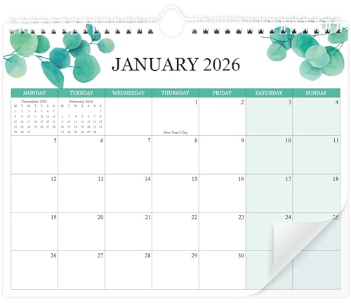 2026 Calendar UK, Large Wall Calendar 18 Months Jan 2026-Jun 2027, Family Planner Month to View for Home, Office, Metal Spiral,Thick Paper.29x 37cm