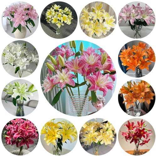 Bulbi di giglio resistenti, decorativi giardino 4pcs