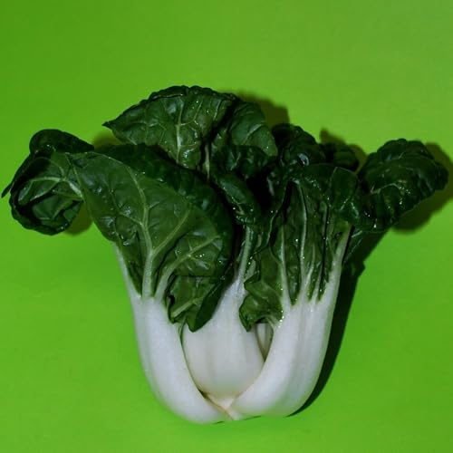 Canton White Pak Choi 3 Grams ~1,190 Seeds – Brassica rapa VAR. chinensis – Heirloom, Non-GMO – 50 Days – Tender White Stalks – Cool or Warm Weather – Baby or Mature Greens – Compact Chinese Cabbage